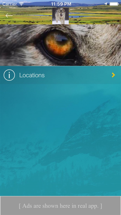 Yellowstone Wolves And Packs screenshot 3
