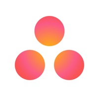 Asana: Work in one place Avis