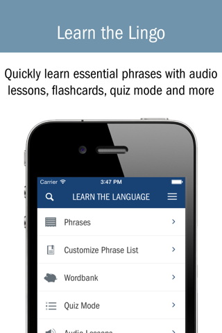 Worldcue® Translator screenshot 2