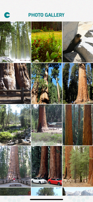 Sequoia National Park(圖4)-速報App