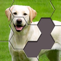 Hexa Jigsaw Puzzle ® pour PC