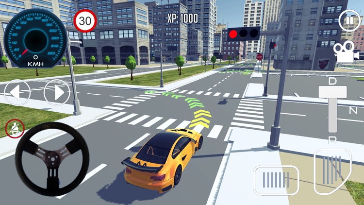 Driving School Simulator 2020 screenshot-3