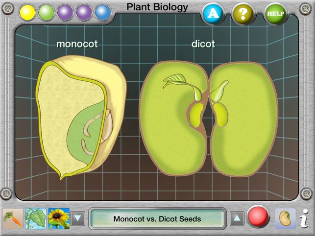 Plant Biology Explorer(圖5)-速報App