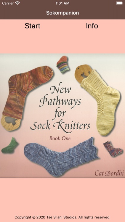 Sokompanion (knitting)
