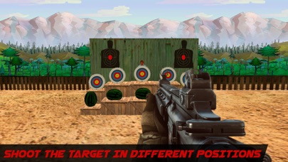 Target Shooting King Game screenshot 3