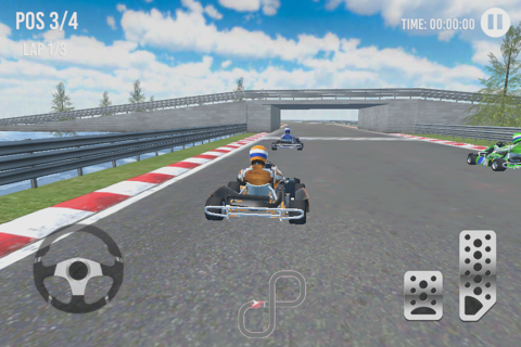 Go Kart Racing Cup 3D - náhled