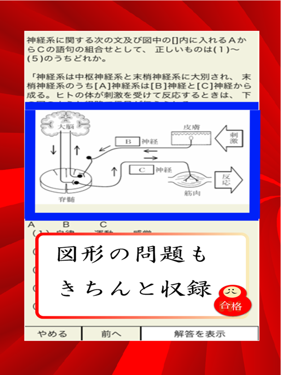 ガンマ・高圧・潜水 資格 plusのおすすめ画像1