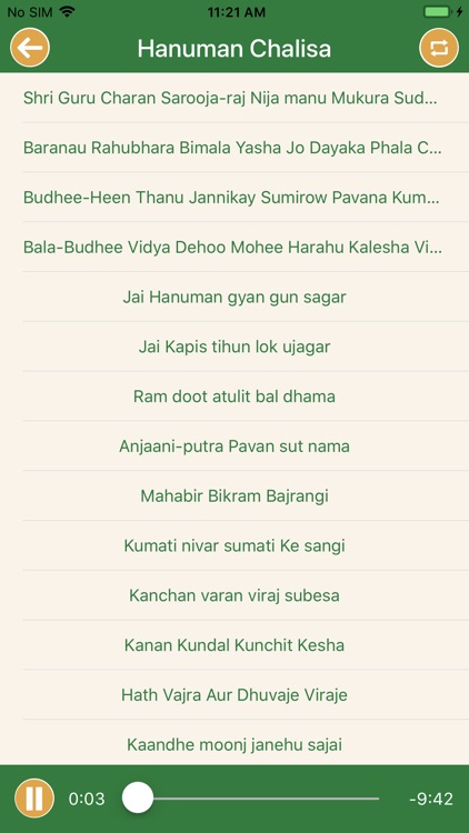 Chalisa Sangrah Audio n Lyrics screenshot-3