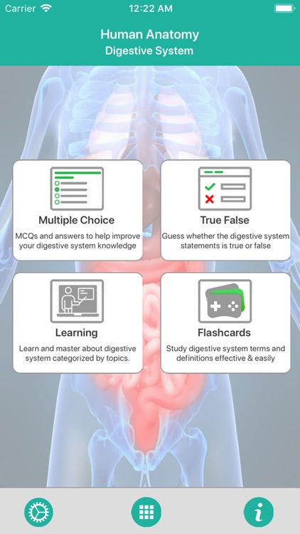 Anatomy : Digestive System