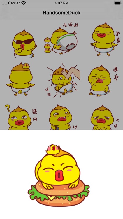 HandsomeDuck