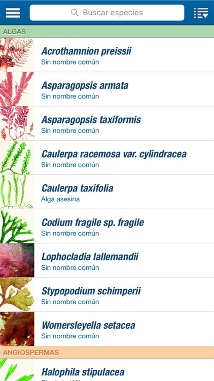 IUCN MedMIS