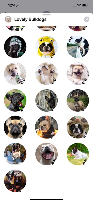 Lovely Bulldogs Sticker Pack(圖2)-速報App