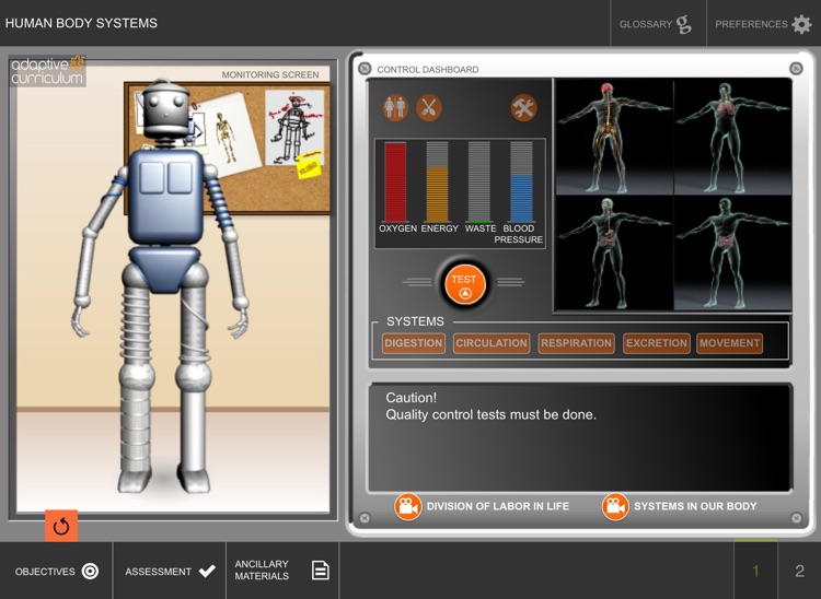 Systems in the Human Body