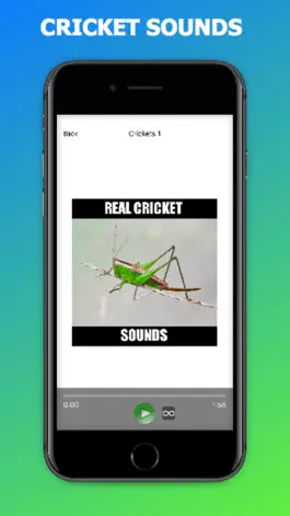 Game screenshot Cricket Sounds for Sleep hack