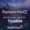 By the time you complete this 24 video tutorial course on Premiere Pro CC Timeline, you will be ready to professionally edit any video project that comes your way