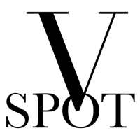 The V Spot Studio