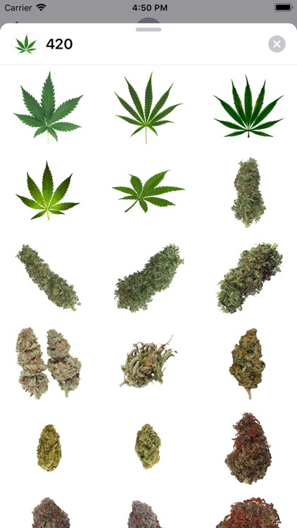 420 Leafs Stickers