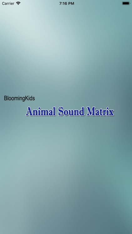 Animal Sound Matrix