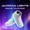 Aurora Lights
