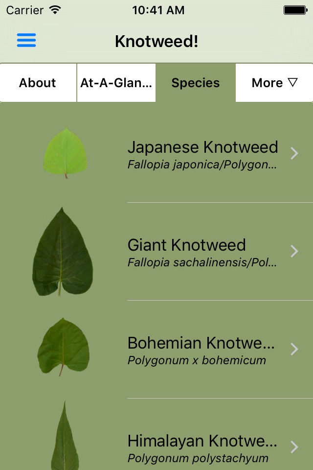 Knotweed! screenshot 2