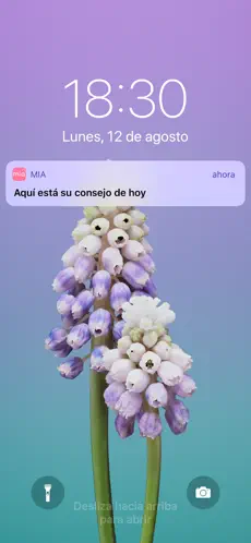 Screenshot 4 MIA - Calendario Menstrual iphone
