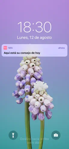 Captura de Pantalla 4 MIA - Calendario Menstrual iphone