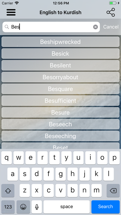 Kurdish Dictionary Translator screenshot 3