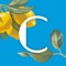 DISCOVER OUR APP