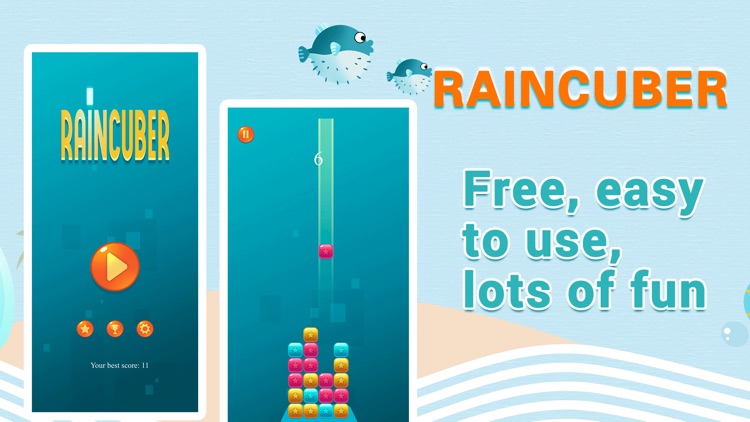 RAINCUBER