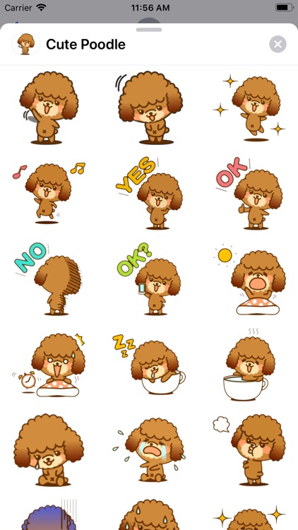 Cute Poodle Sticker Pack