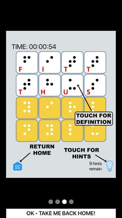 Braille WordWise Max