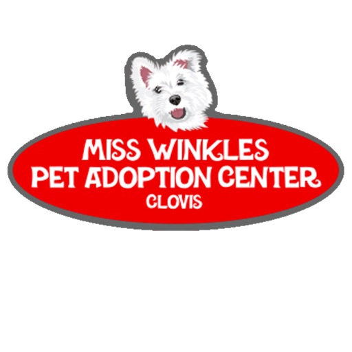 Miss Winkles Download