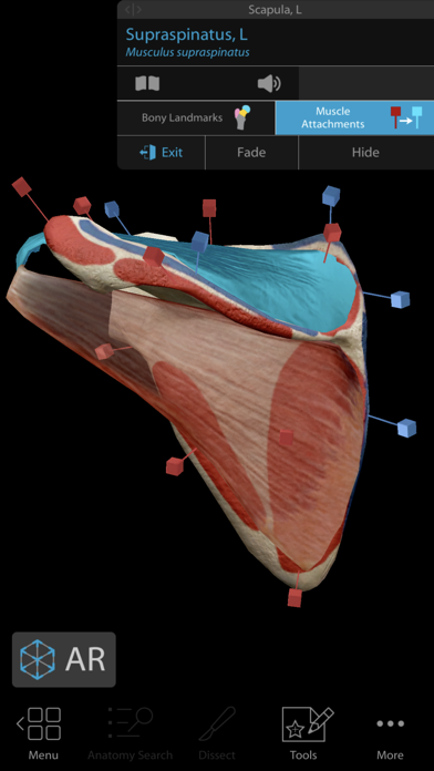 Human Anatomy Atlas 2017 - Complete 3D Human Body Screenshot 3