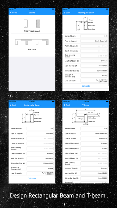 eStructural Design Zen: LRFDsi screenshot 4