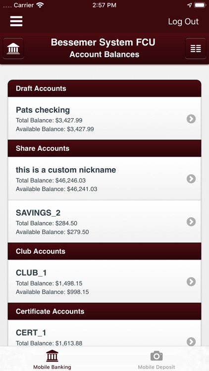 Bessemer System FCU screenshot-3