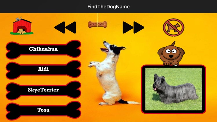 Find The Dog Name