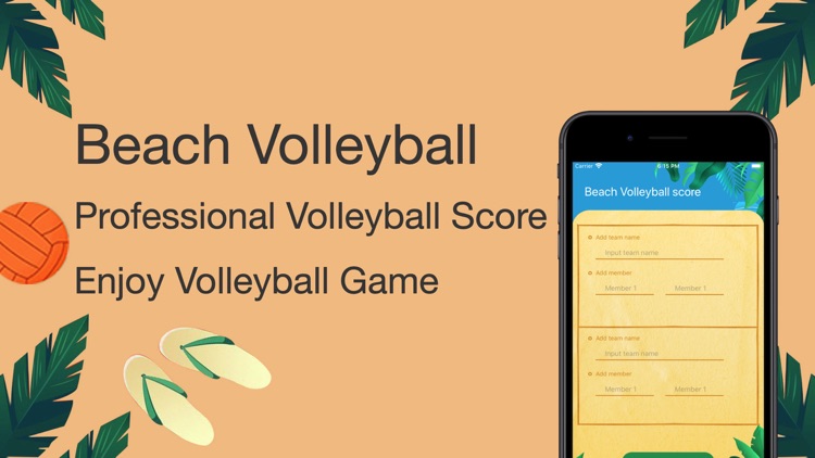 Beach Volleyball score