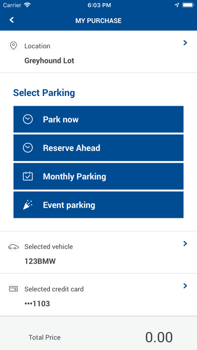 LAZ Parking screenshot 4