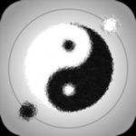 太极迷阵