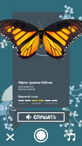 Game screenshot Дикая африка hack