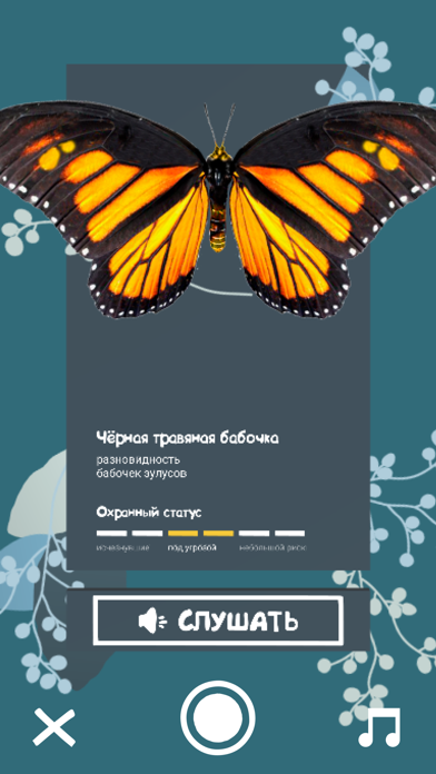 Дикая африка screenshot 3