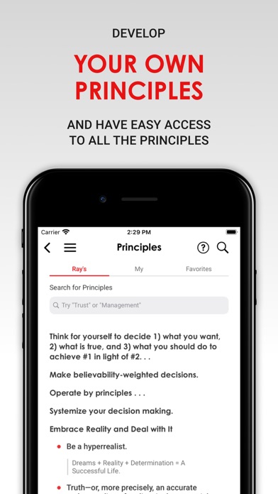 Principles In Action screenshot 3