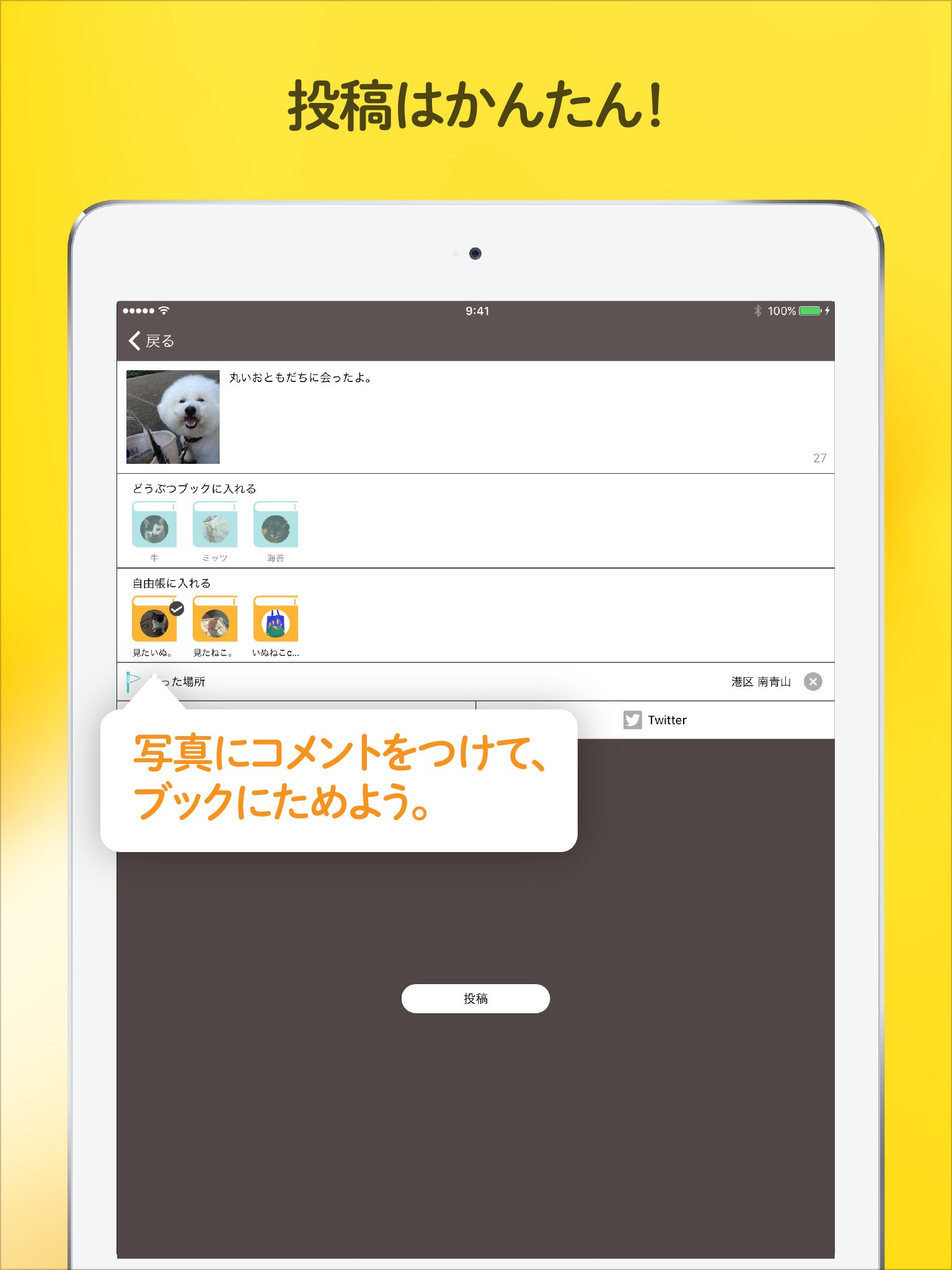 Dokonoko - Dogs&Cats Photo App screenshot 3