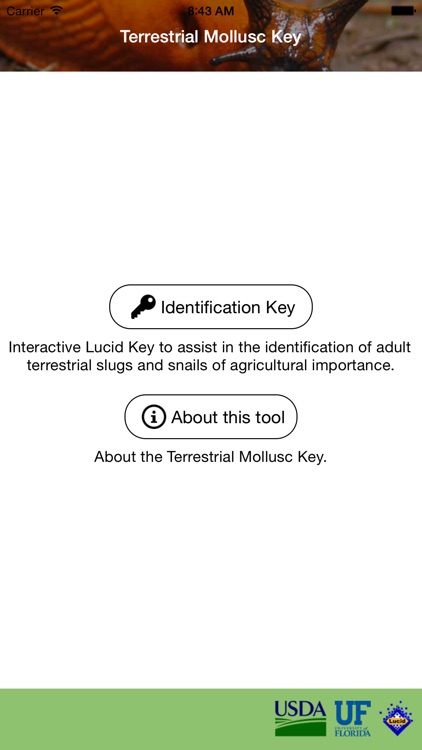 Terrestrial Mollusc Key