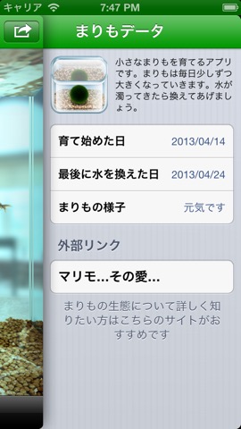 まりも Iphoneアプリ Applion