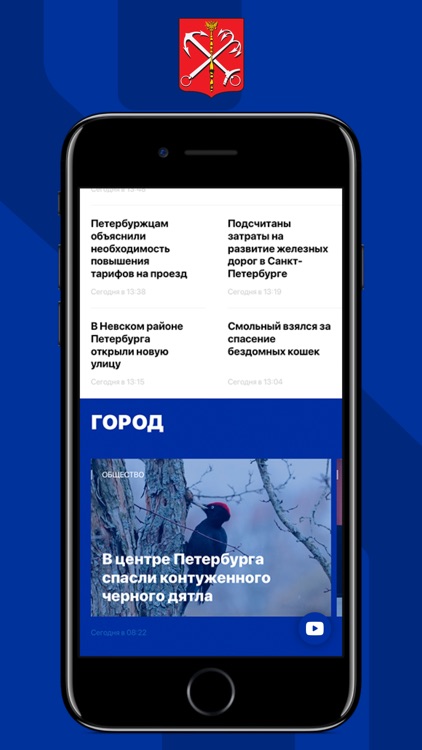 Петербургский Дневник screenshot-3