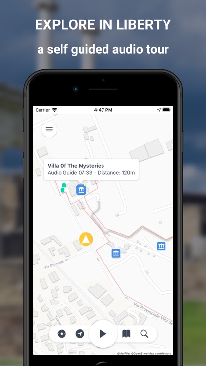 Discover Pompeii - Pompei Tour screenshot-8