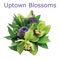 Order directly from this app and send flowers in Anchorage and surrounding areas through Uptown Blossoms, a full service florist in Anchorage, Alaska