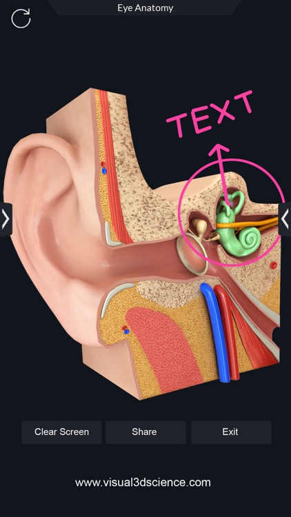 My Organs Anatomy screenshot-6