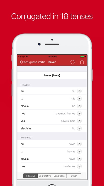 Portuguese Verb Conjugator Pro